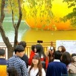 dsc00247