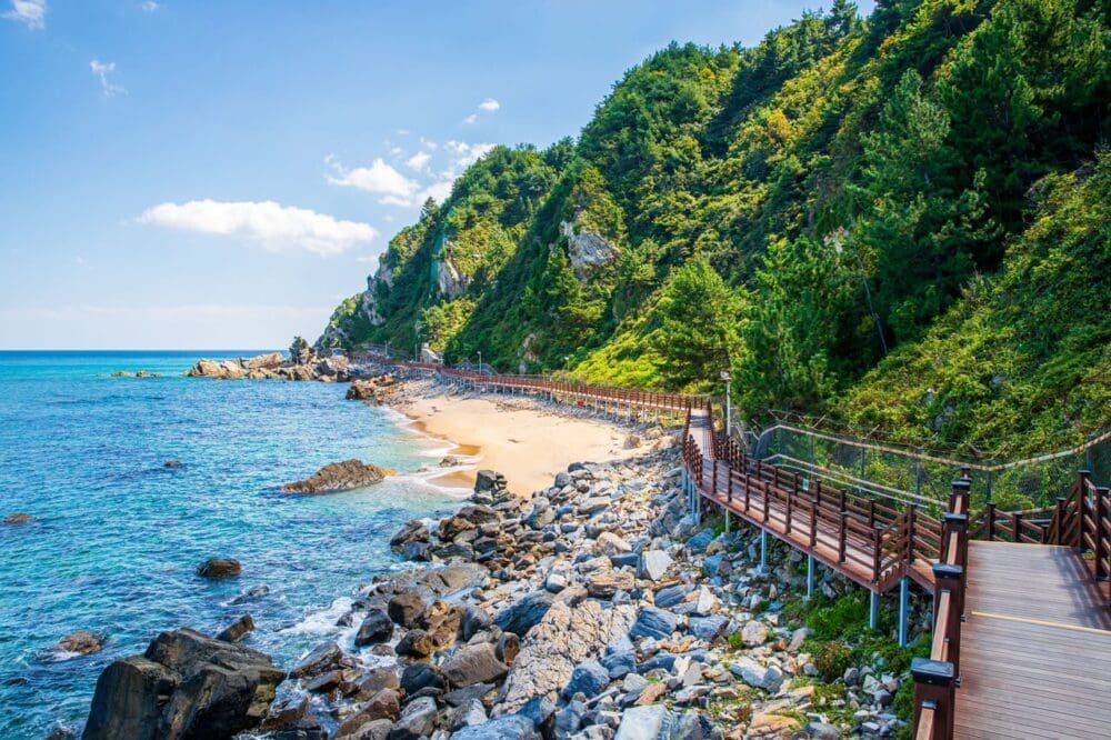 Jeongdong Simgok Badabuchaegil near jeongdongjin beach