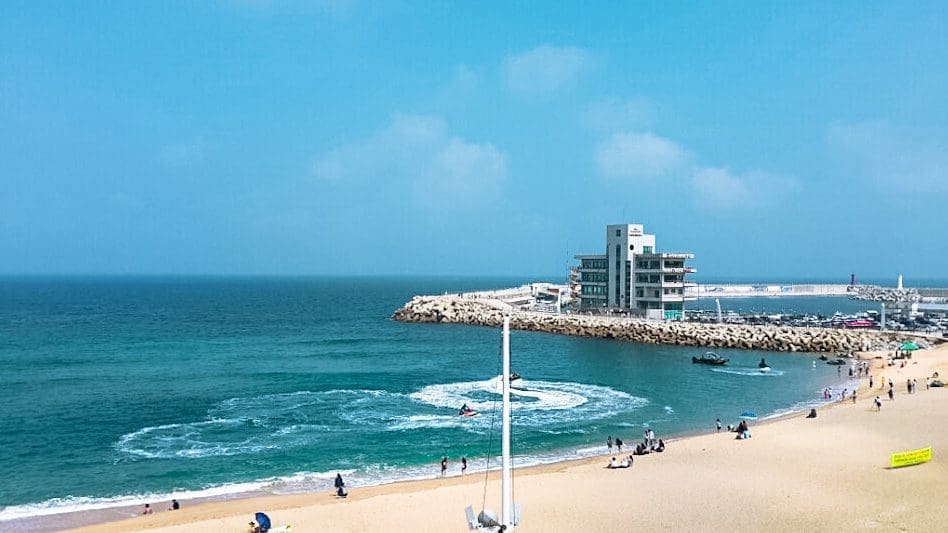 See 30 Gorgeous Cafes by the Sea at Anmok Beach & Gangneung Coffee Street 5 rooftop views of anmok beach from gangneung coffee street
