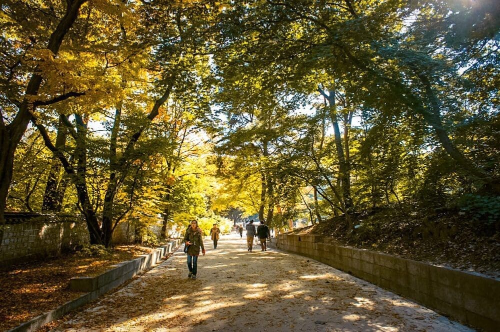 changdeokgung palace secret garden in autumn