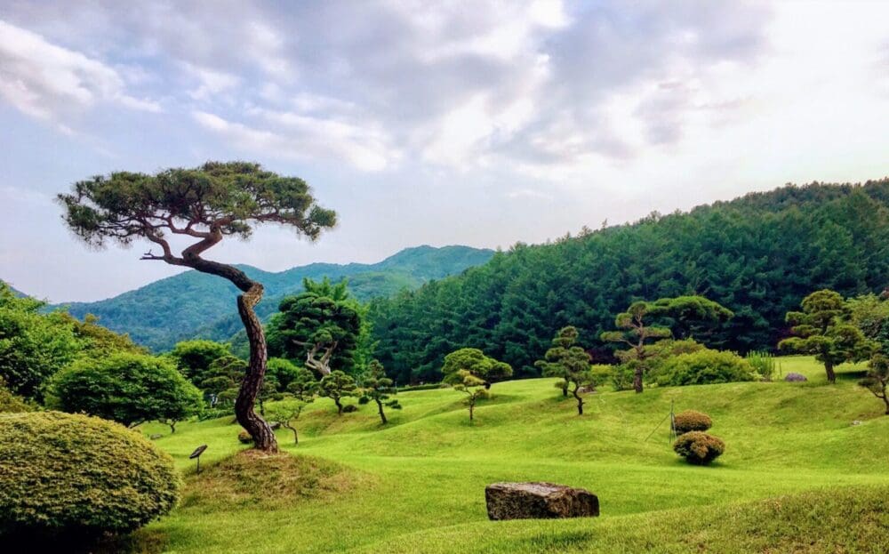 garden of morning calm in korea