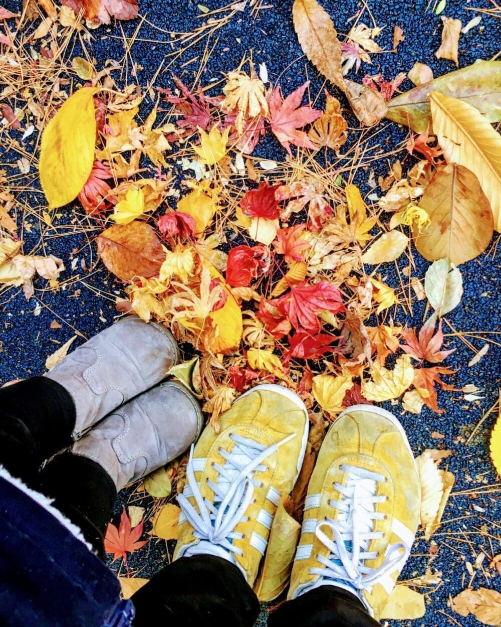 autumn in korea