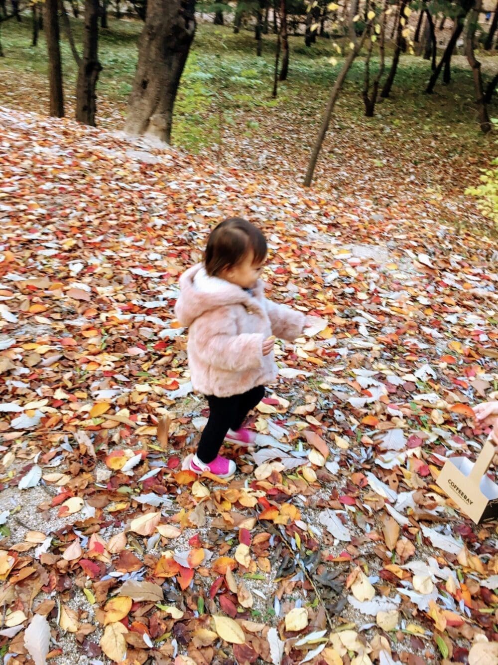 Autumn in Seoul | 17 Spectacular Places to Visit in Seoul during Autumn 35 autumn in seoul | Seonjeongneung tomb