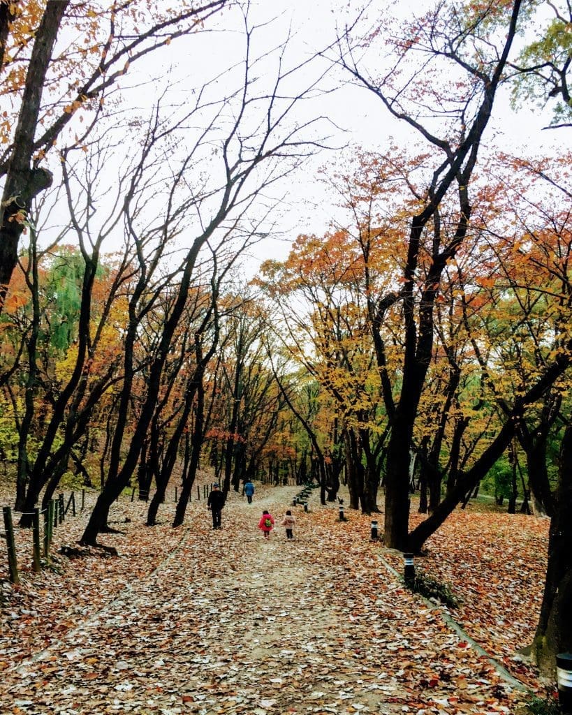 Starfield COEX Mall Guide: 12 Best Things to Do + Navigation Hacks 31 Seonjeongneung during autumn in seoul