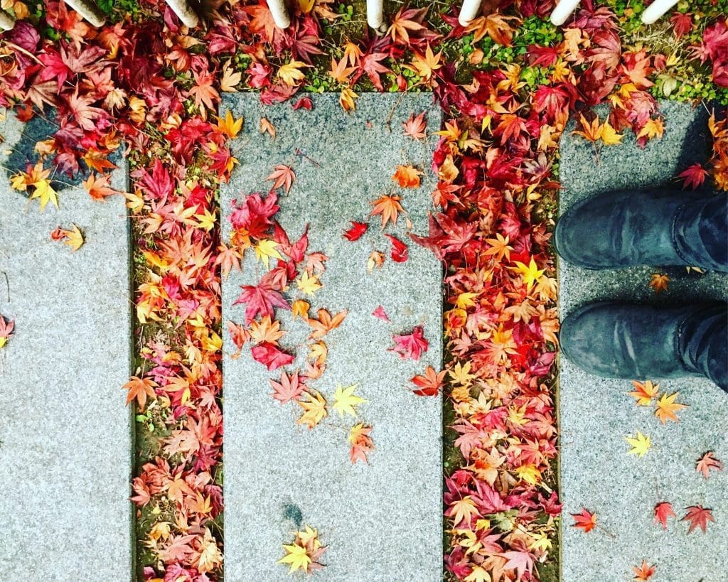 Autumn in Seoul | 17 Spectacular Places to Visit in Seoul during Autumn 1 IMG 0638 e1566542729446