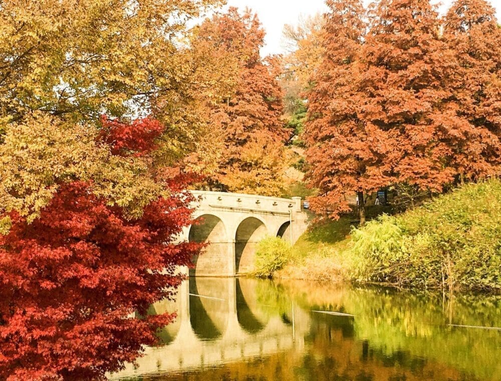 Autumn in Seoul | 17 Spectacular Places to Visit in Seoul during Autumn 19 autumn in seoul | olympic park