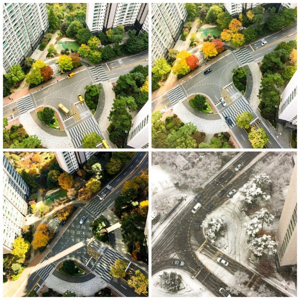 Autumn in Seoul | 17 Spectacular Places to Visit in Seoul during Autumn 4 autumn in seoul month by month