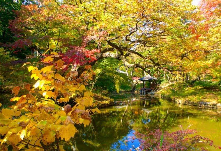 changdeokgung palace and secret garden in autumn