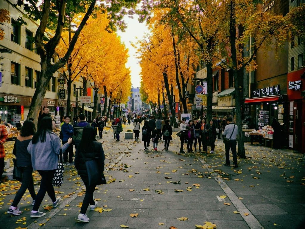 Autumn in Seoul | 17 Spectacular Places to Visit in Seoul during Autumn 25 garosugil during autumn in seoul korea