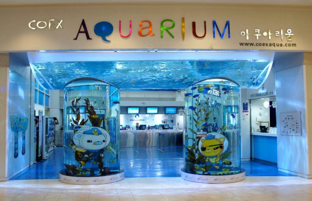 Starfield COEX Mall Guide: 12 Best Things to Do + Navigation Hacks 11 coex aquarium at starfield coex mall