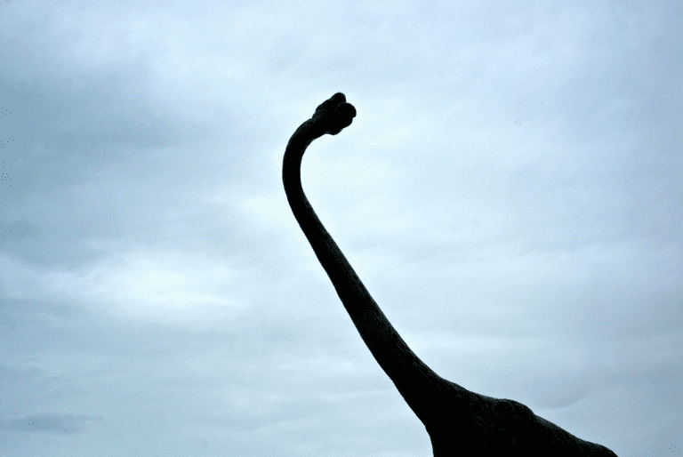 things to do in drumheller, drumheller attractions
