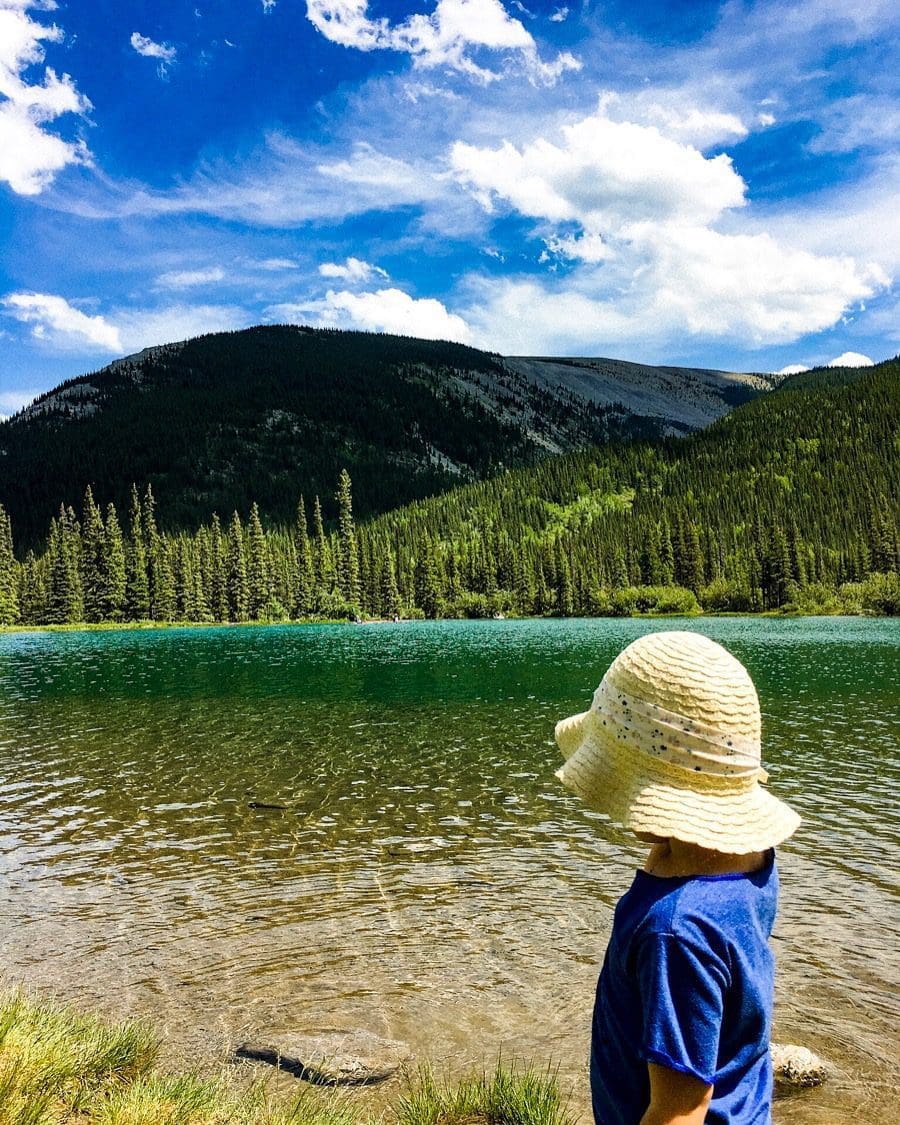 forget me not pond alberta