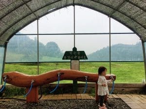 5 Unique Things to Do at Daegwallyeong Sheep Farm (with Directions) 10 station to wash your hands at daegwallyeong sheep farm
