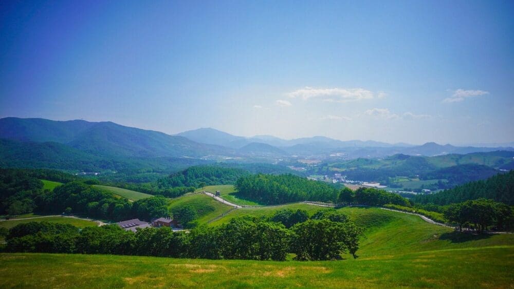 5 Unique Things to Do at Daegwallyeong Sheep Farm (with Directions) 2 daegwallyeong sheep farm