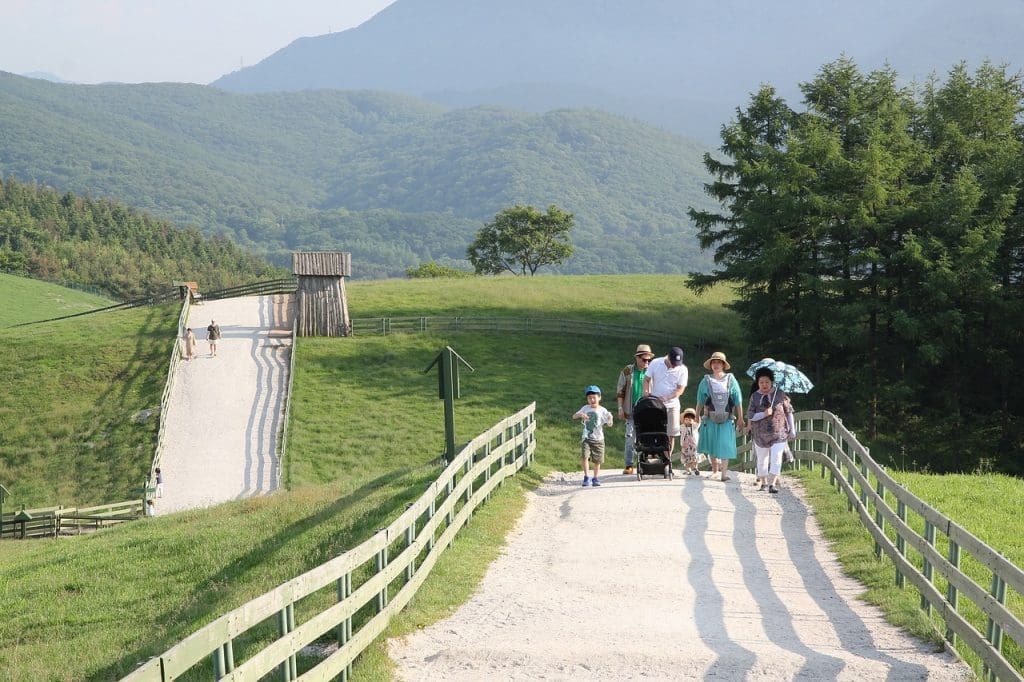 5 Unique Things to Do at Daegwallyeong Sheep Farm (with Directions) 8 walking course at daegwallyeong sheep farm
