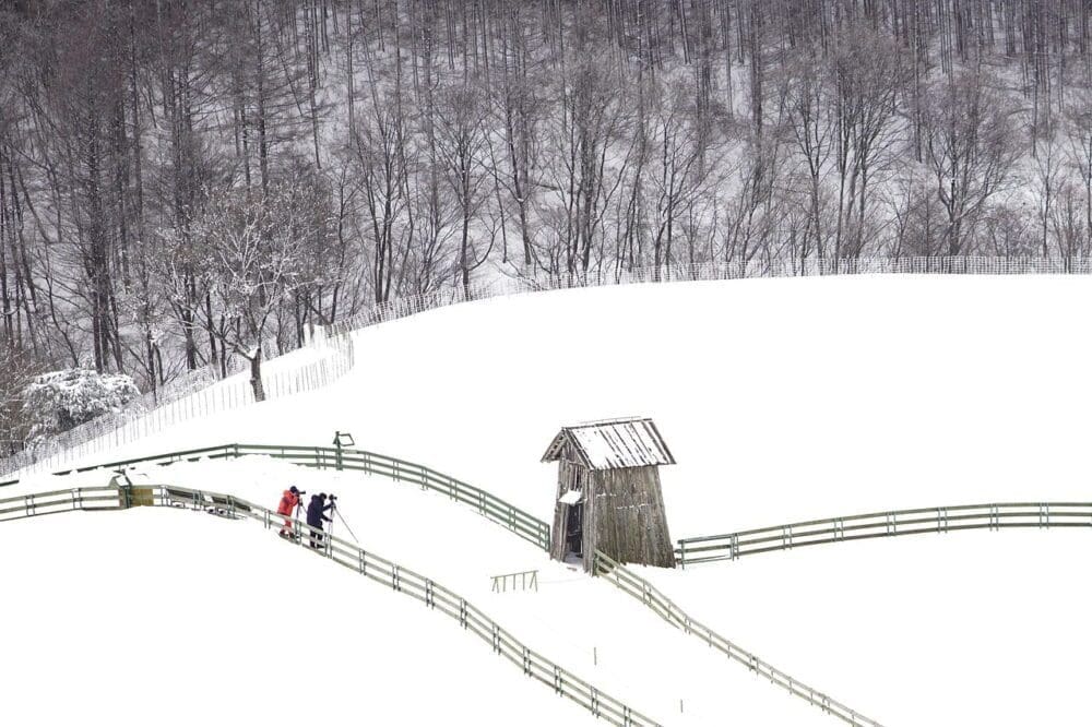 5 Unique Things to Do at Daegwallyeong Sheep Farm (with Directions) 9 daegwallyeong sheep farm in winter