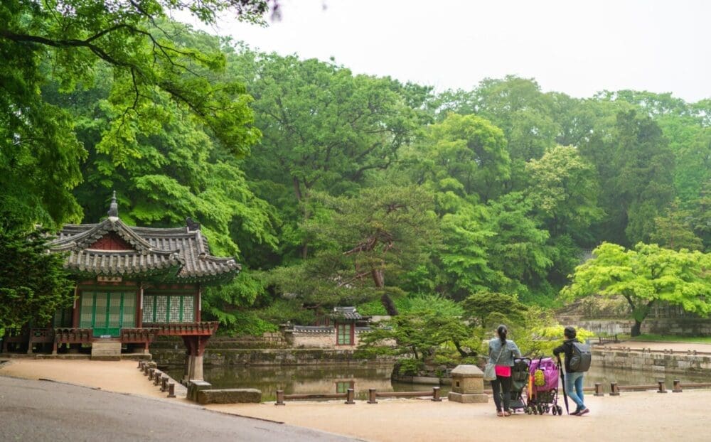 South Korea 8 korea travel guide | changdeokgung secret garden