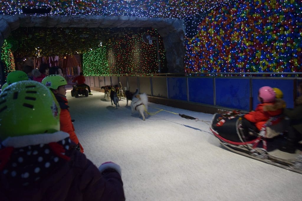 Christmas in Seoul 2026 | The 26 Best Festive Things to Do in Seoul for Christmas 33 christmas in seoul | onemount snow park