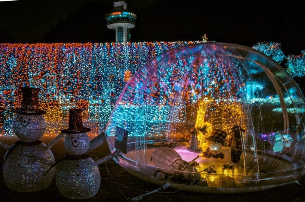 south korea in december | boseong tea plantation light festival