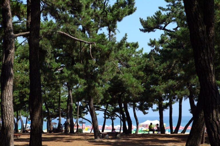 gyeongpo beach gangneung korea