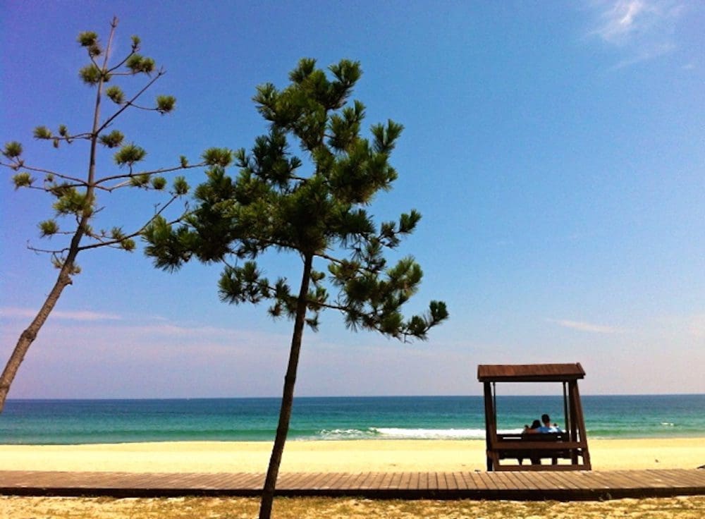 17 Spectacular Beaches in Korea to Beat the Summer Heat 5 gyeongpo beach in korea