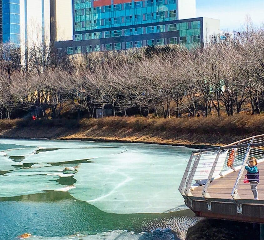 Spring in Korea 2026 | Travel Tips from 15 Years Living in Seoul 5 spring in korea | seokchon lake