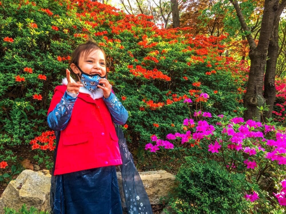 seokchon lake in spring
