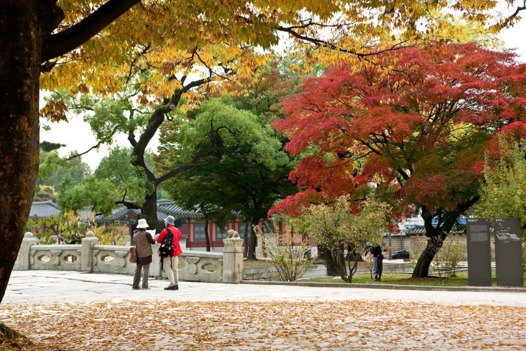 visitors at changdeokgung palace in autumn