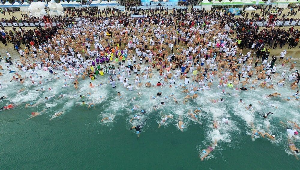 winter in korea | busan polar bear swim