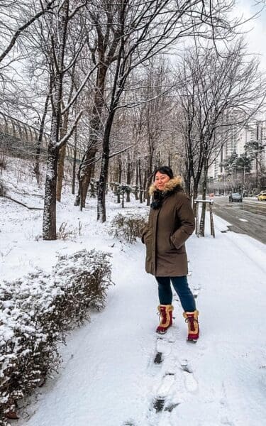 How to Book the Unforgettable Gangchon Rail Bike 13 snow in seoul