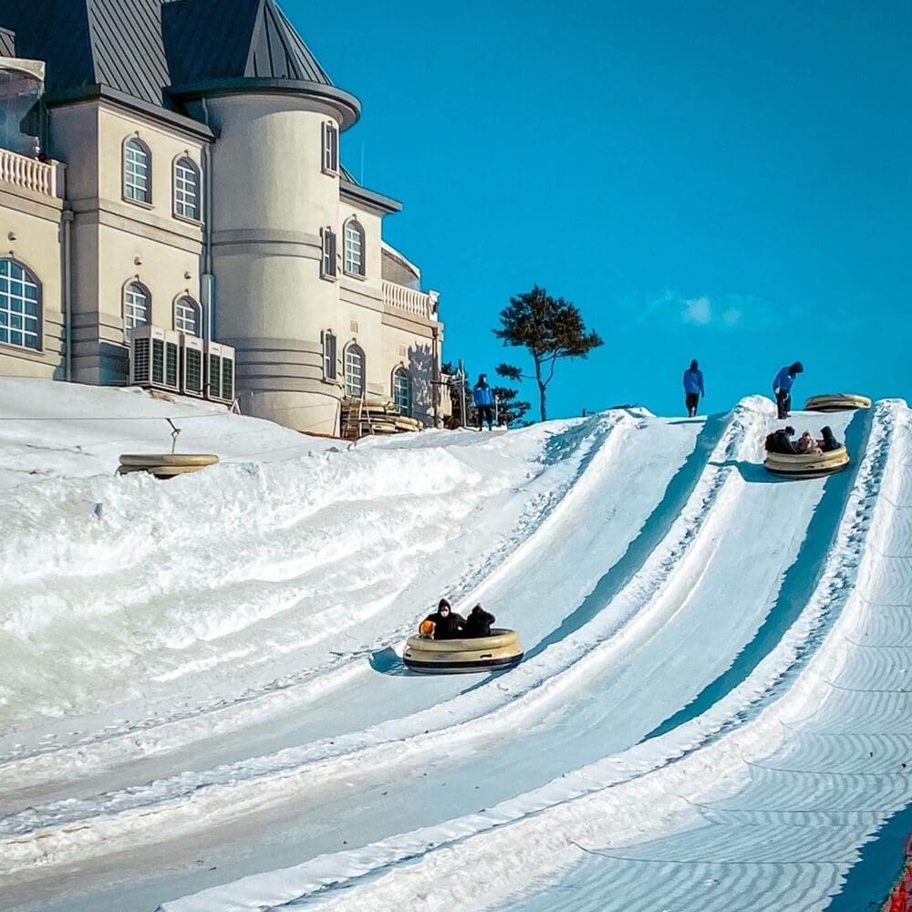 winter in korea | tornado sled at snowy land vivaldi park