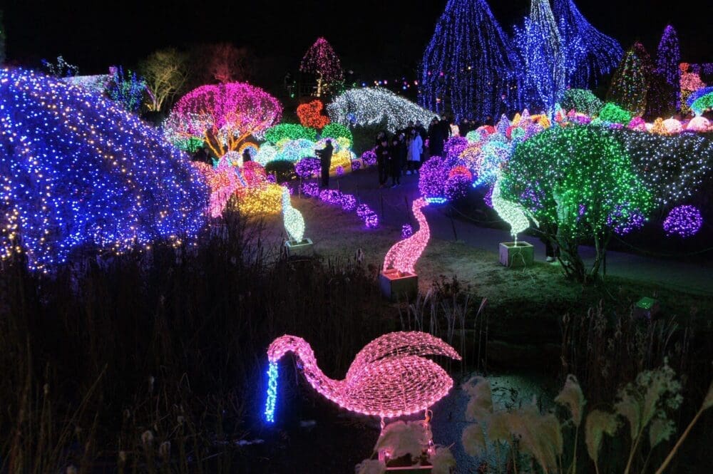 lighting festival at garden of morning calm in winter
