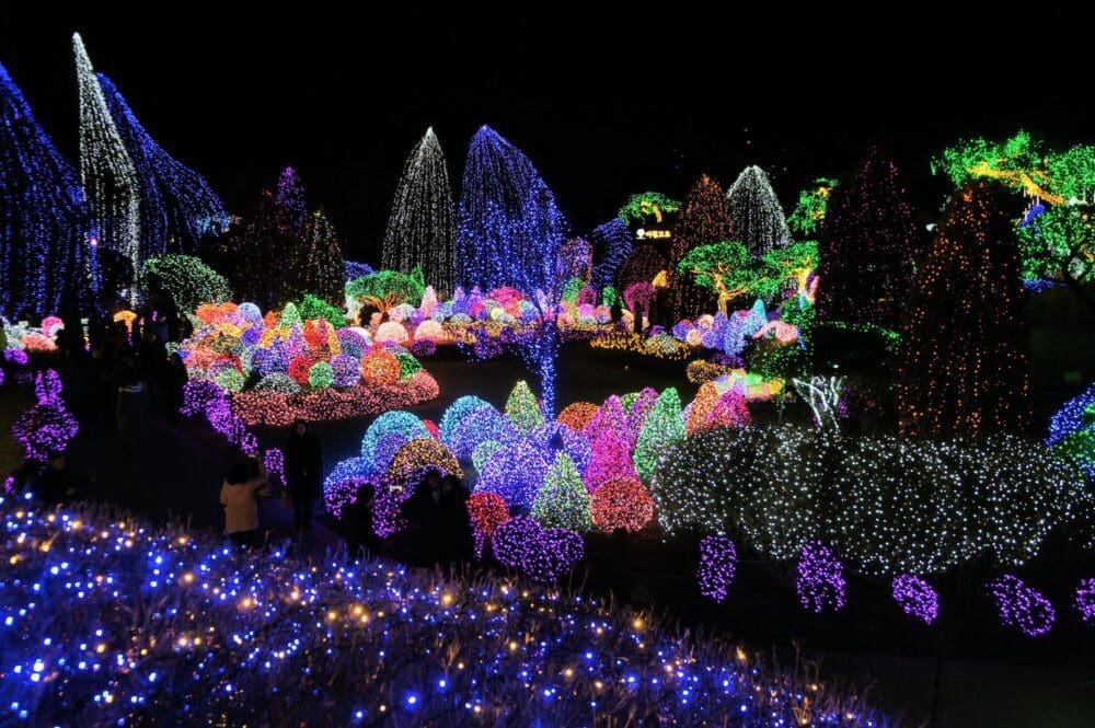 garden of morning calm winter lighting festival