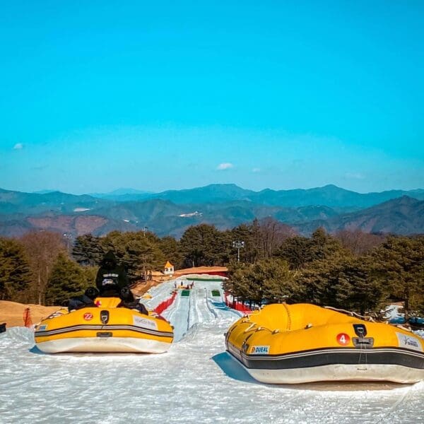 snowy land sled park in korea