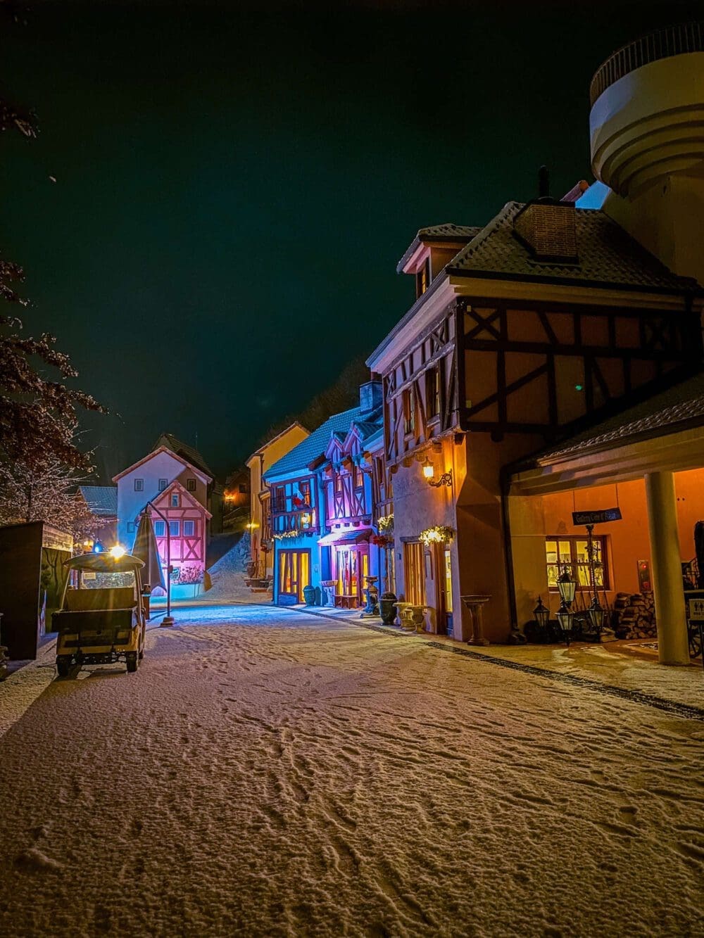 petite france in winter