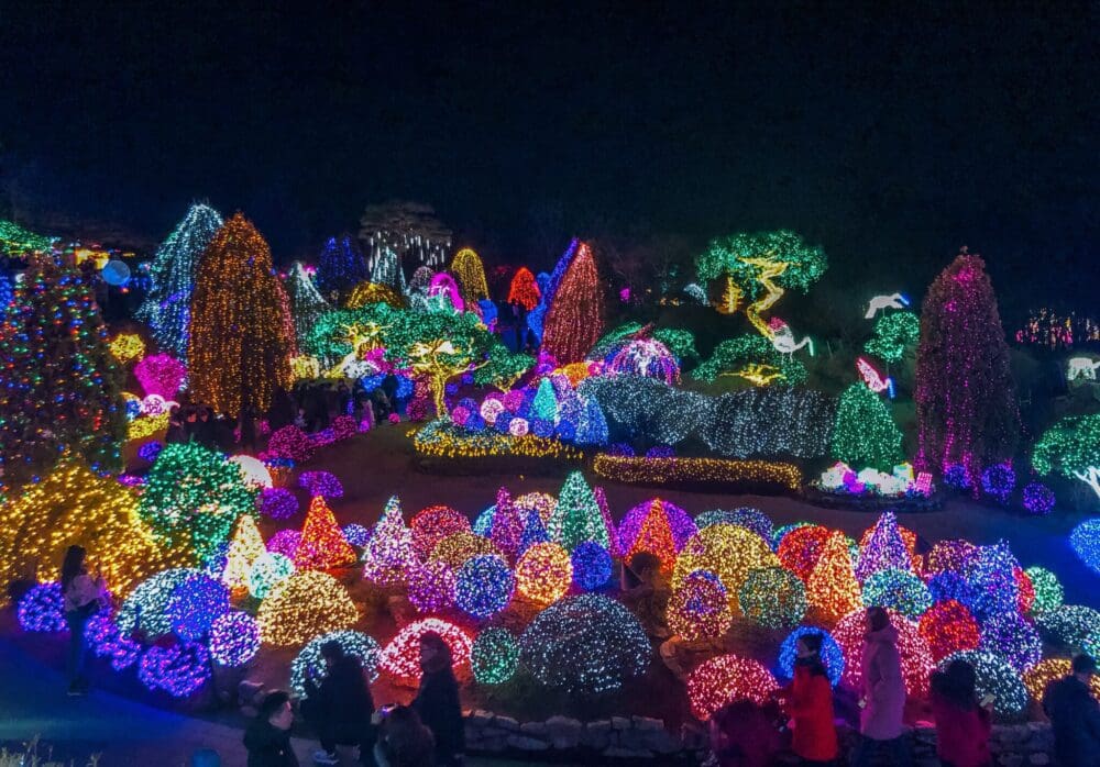 garden of morning calm lighting festival in winter