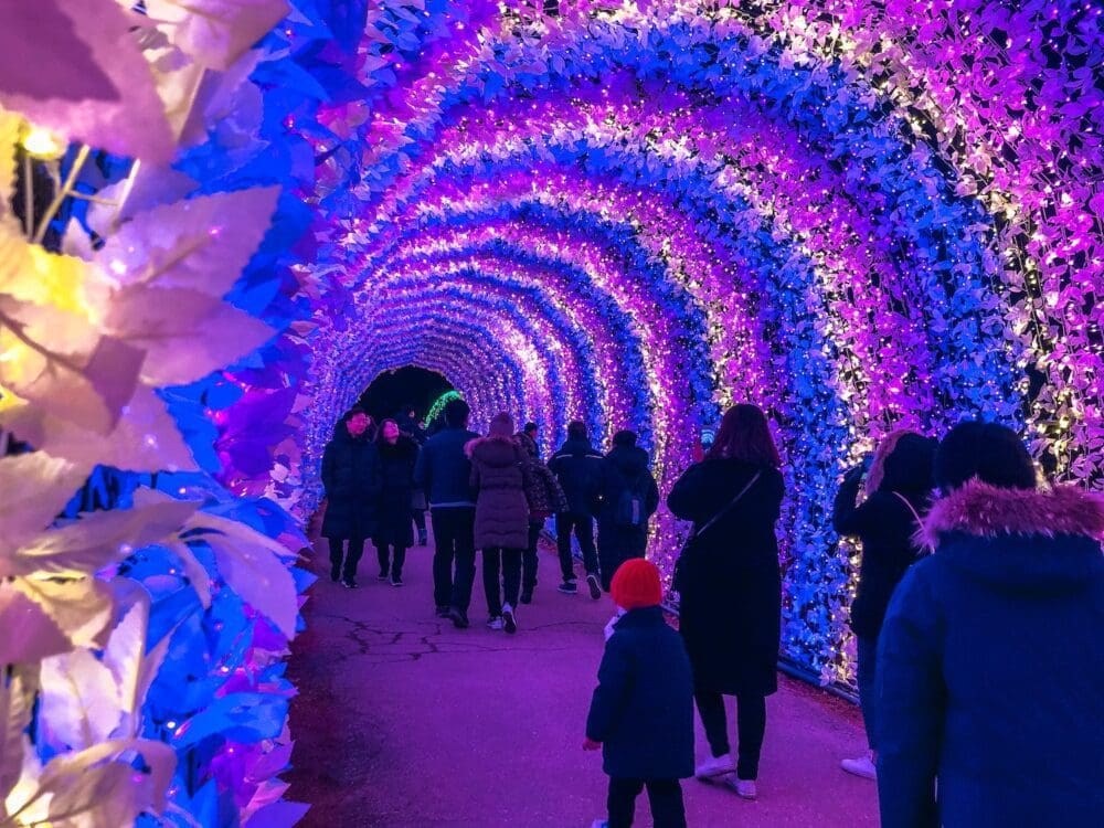 december in south korea | garden of morning calm starlight festival