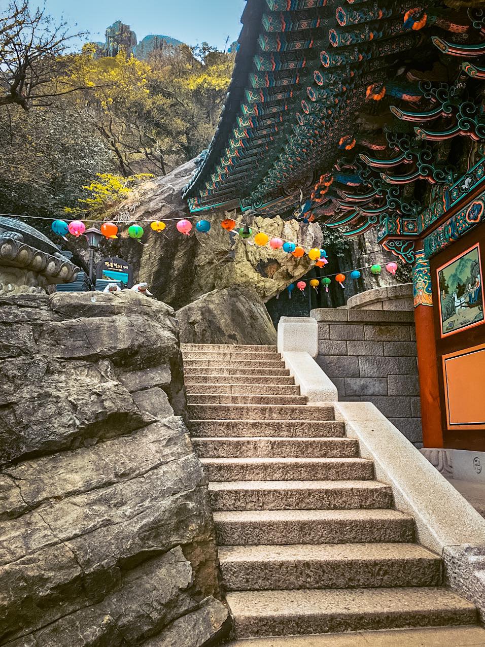 Hyangiram Hermitage in Yeosu | A Remarkable Seaside Temple with 7 Unique Passageways 11 향일암 여수 in spring