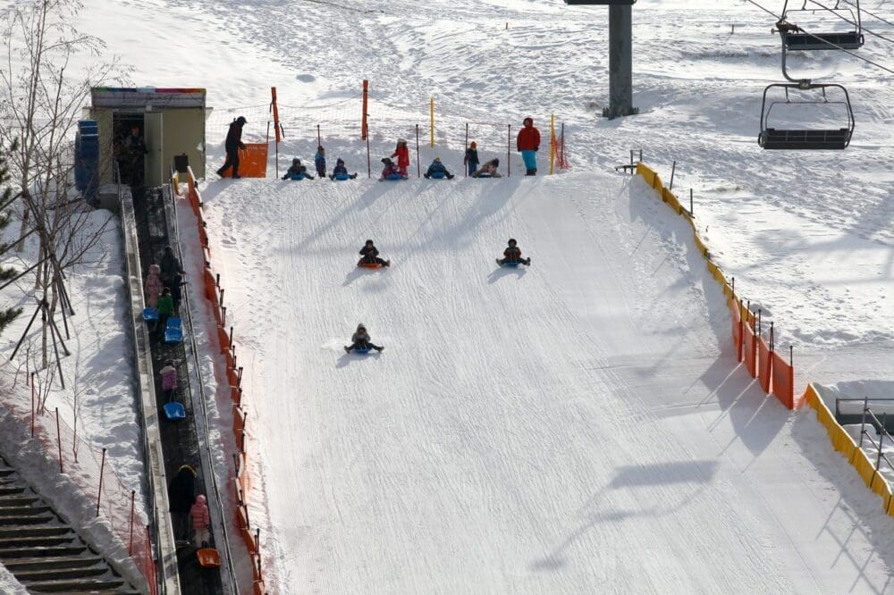 Vivaldi Park Snowy Land Guide 2025 / 26 | The Best Sled Park near Seoul for Winter 16 sledding in korea | welli hilli park