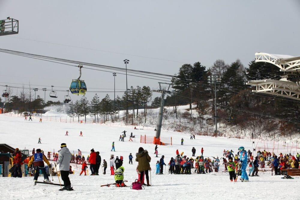 ski resorts near seoul | Welli Hilli Ski Park