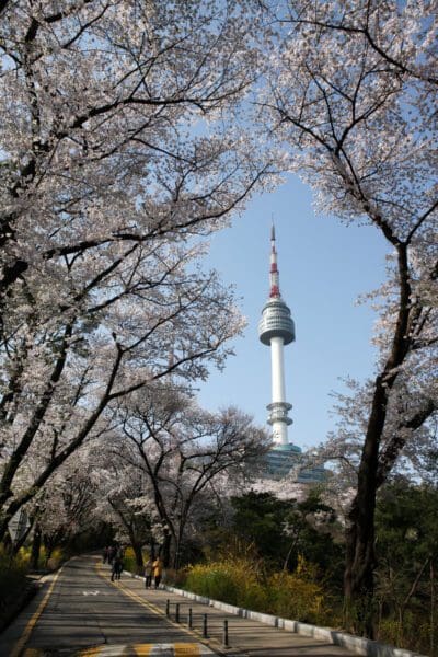 15 Excellent Hotels in Myeongdong | Where to Stay near Myeongdong Station 15 where to stay in myeongdong | namsan tower