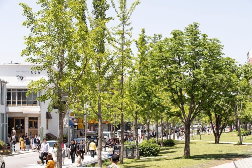 where to stay in seoul | hongdae