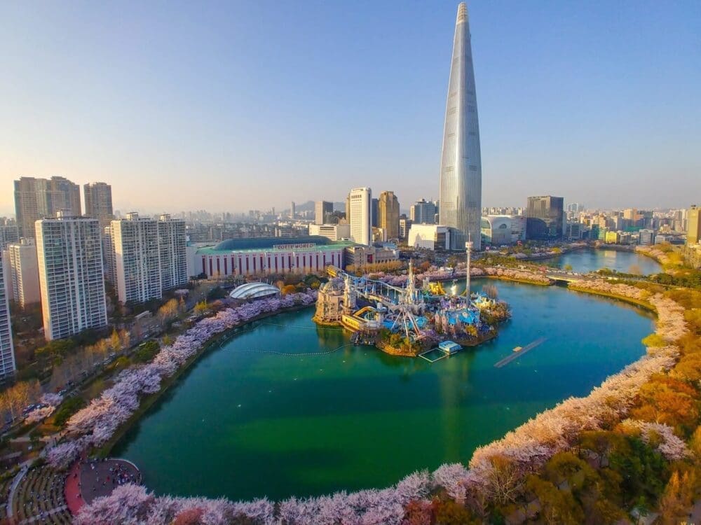 cherry blossom in south korea | seokchon lake