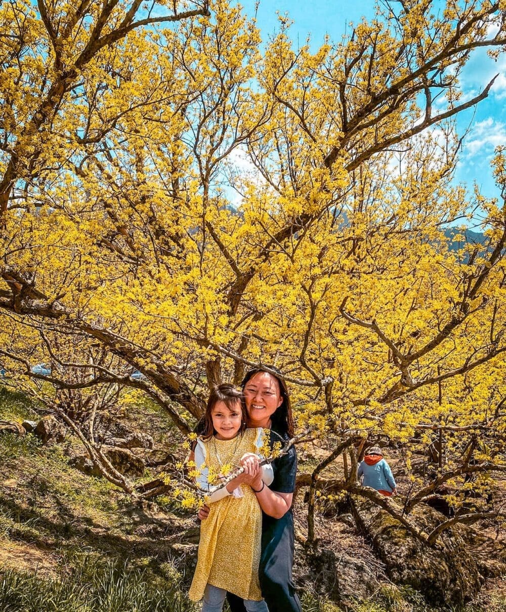 gurye south korea | sansuyu village