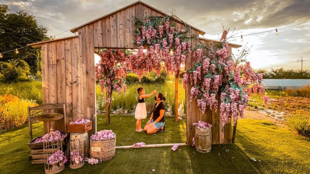 Spring in Korea 2026 | Travel Tips from 15 Years Living in Seoul 7 spring in korea | Photo Cafe Graphy Garden