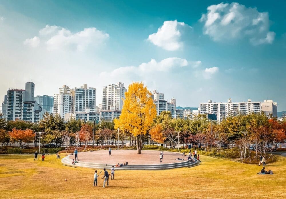 autumn in korea | iljasan mountain in seoul