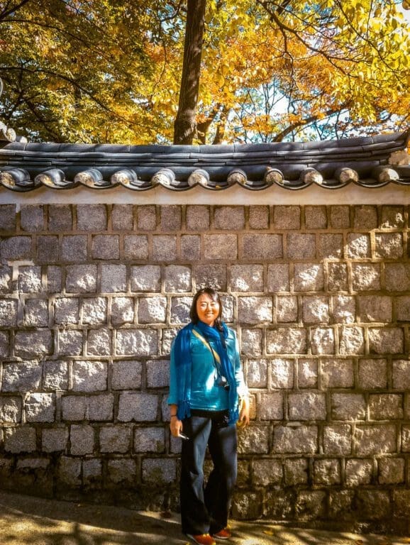 yellow trees behind a traditional stone wall in korea