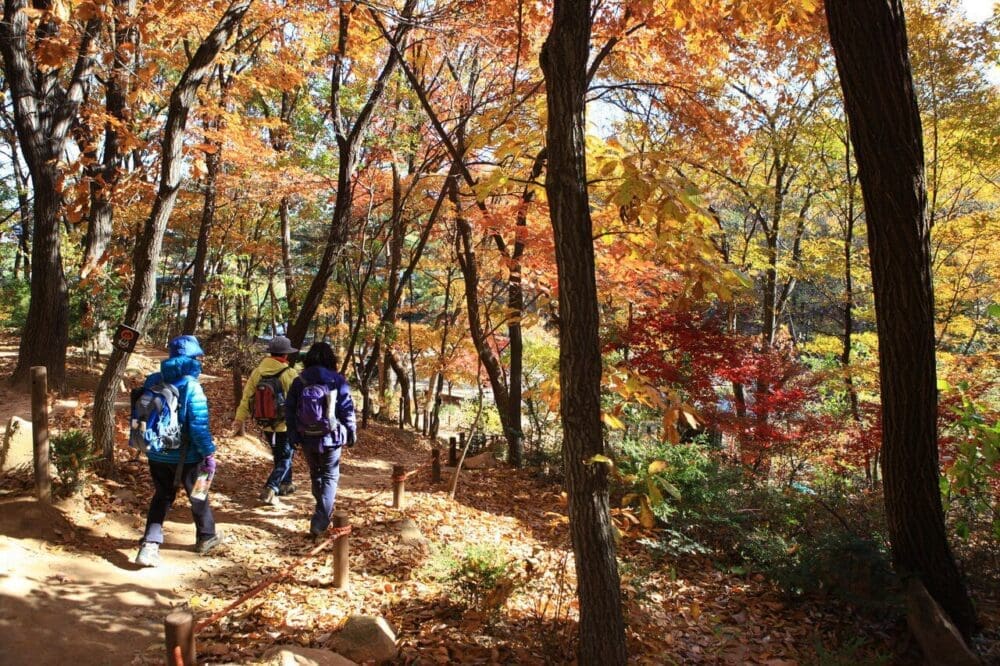 autumn in kora | bukhansan national park