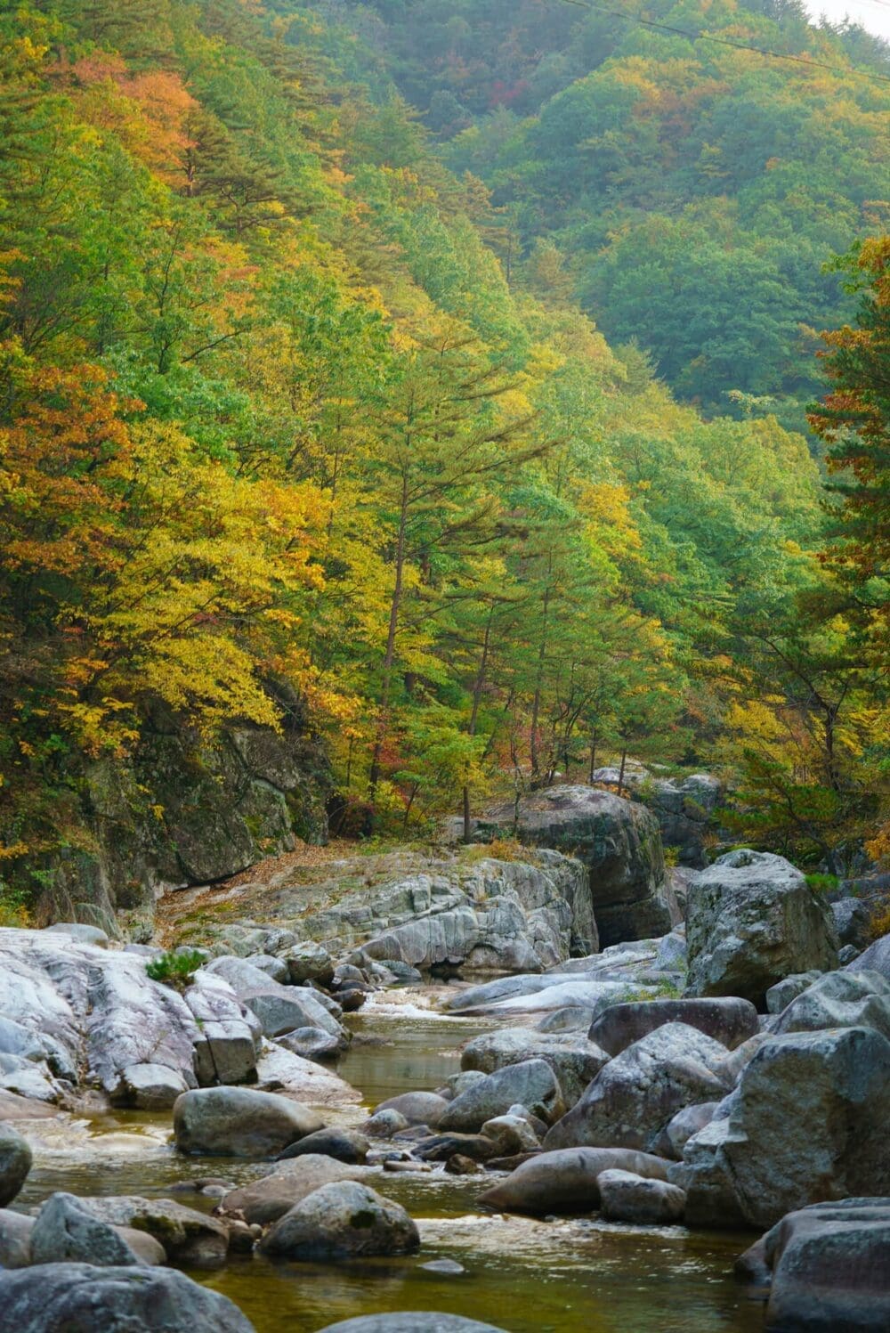 autumn in korea | odaesan national park