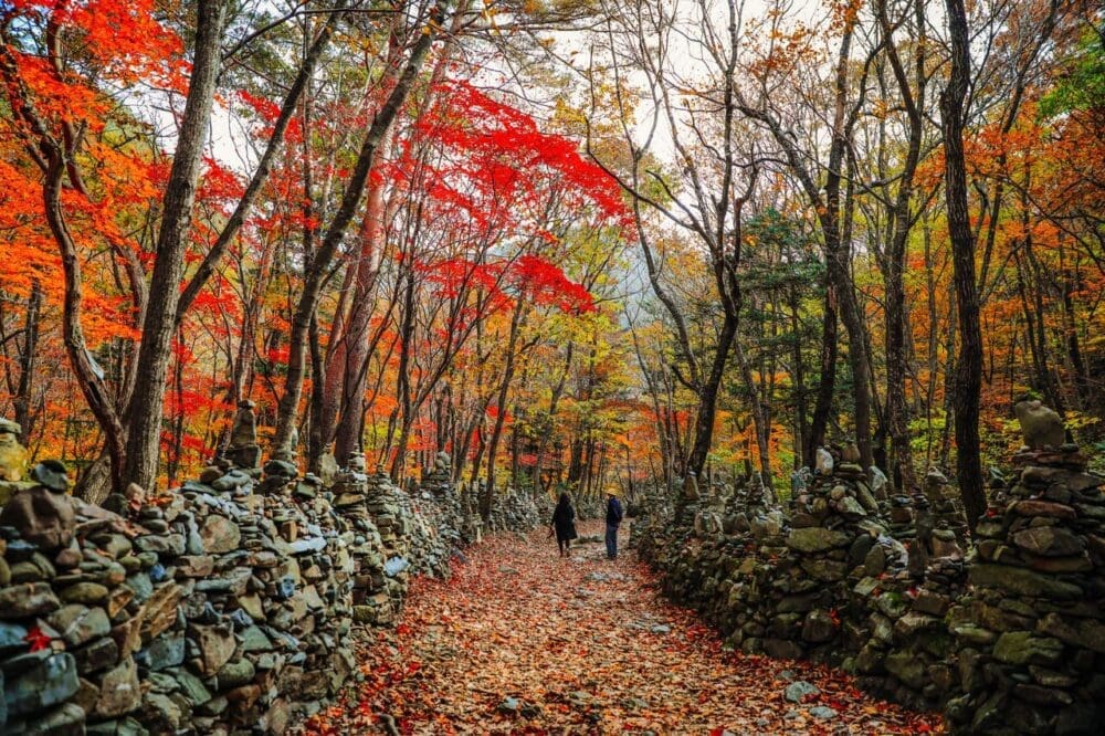autumn in korea | nochusan mountain